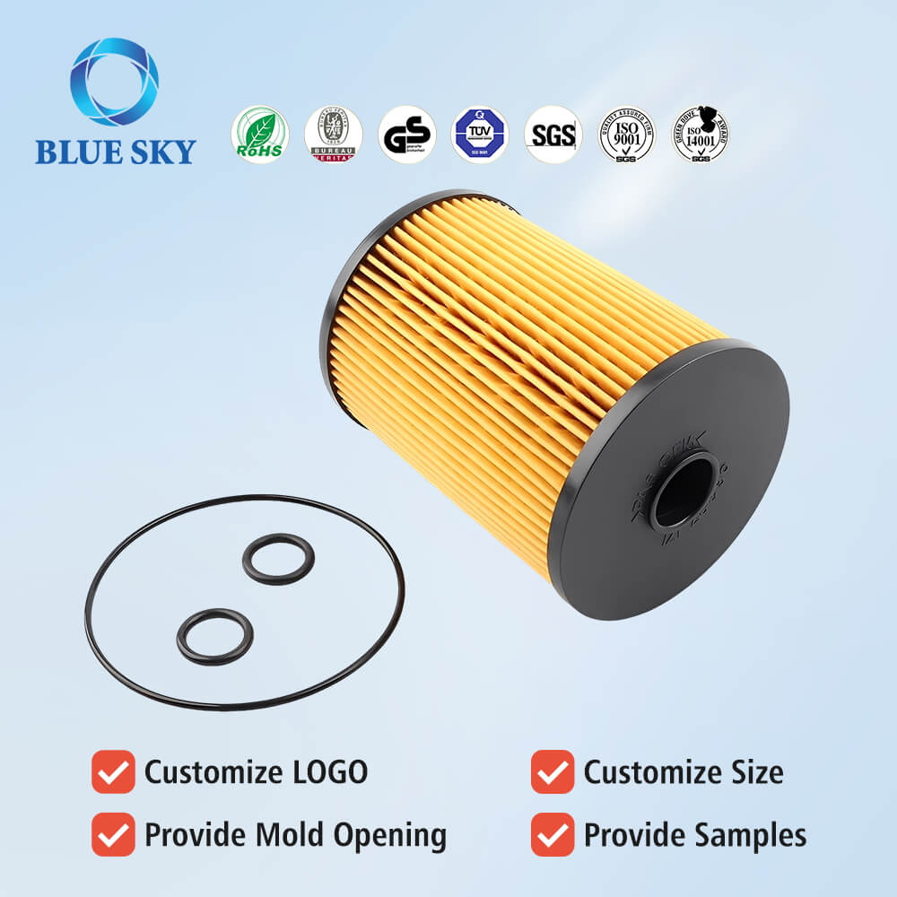 Customizable 11252754870 Fuel Filter Kit for Mini Cooper R55 R56 R57 R58 (2007-2015) 可定制 11252754870 燃油过滤器套件 适用于 Mini Cooper R55 R56 R57 R58 (2007-2015)