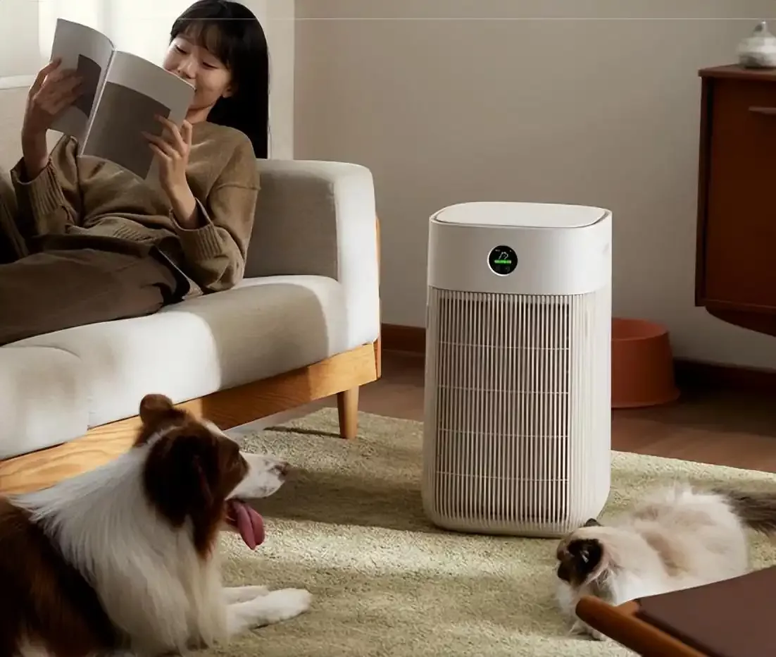 这个季节过敏高发？这就是为什么您的空气净化器过滤器是真正的英雄