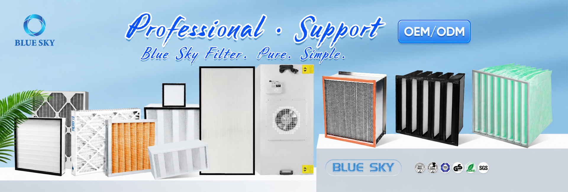 Professional Support