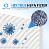 2 合 1 HEPA 活性炭过滤器替换件，与 KNKA APH4000 空气净化器兼容